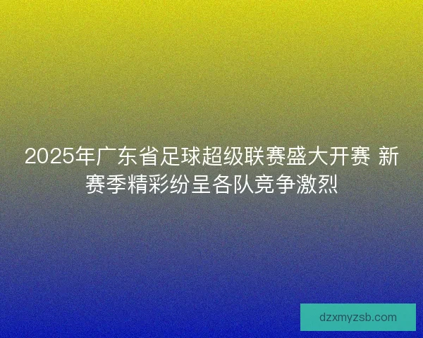 2025年广东省足球超级联赛盛大开赛 新赛季精彩纷呈各队竞争激烈