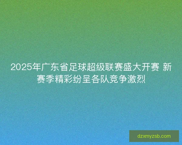 2025年广东省足球超级联赛盛大开赛 新赛季精彩纷呈各队竞争激烈